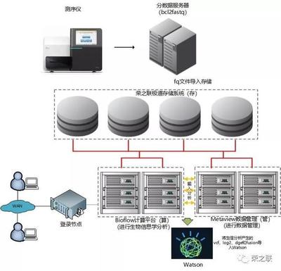 基因檢測分析服務升級，榮之聯助力菩提慧生醫學檢驗所數據處理服務